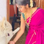 Divya Uruduga Instagram - Remember the lost and found Blue🐶?!💙 The cutest! @bluhuskee 💛🖤 📸: @mansa_neeraj Jewellery: @velvetboxby #divyauruduga #divyau #du #D #uruduga #DU #DUvians #thirthahalli #d #shivamoga #kpdu #arviya #arviyans #arya #preetiirali #live #love #laugh #peace #positivity #🧿