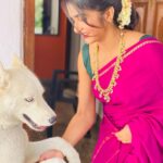 Divya Uruduga Instagram - Remember the lost and found Blue🐶?!💙 The cutest! @bluhuskee 💛🖤 📸: @mansa_neeraj Jewellery: @velvetboxby #divyauruduga #divyau #du #D #uruduga #DU #DUvians #thirthahalli #d #shivamoga #kpdu #arviya #arviyans #arya #preetiirali #live #love #laugh #peace #positivity #🧿