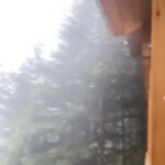 Divyenndu Instagram - When you wake up to this!! #morningmood