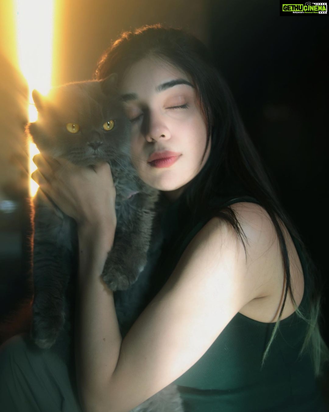 Eisha Singh Instagram - Are you kitten me right meow?