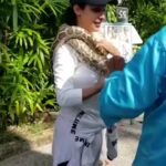 Flora Saini Instagram - The bravest thing I ever did 😛 n that's my mom I'm talking to on the side 🤣 #Repost @celebfieapp with @let.repost • • • • • • Celebfie queen @florasaini is quite a daredevil! 💪 Here's an exclusive video of her where she is seen facing her fears by letting a HUGE snake coil around her neck. 🐍😲 Check out this video NOW! Subscribe to Flora's Celebfie channel to view more such UNSEEN videos of her. Link in bio! #Celebfieapp #florasaini #actress #adventure #snake #reelitfeelit #reels #fearless #facefears #motivation #monday #reelsinstagram #mondaymotivation #trending