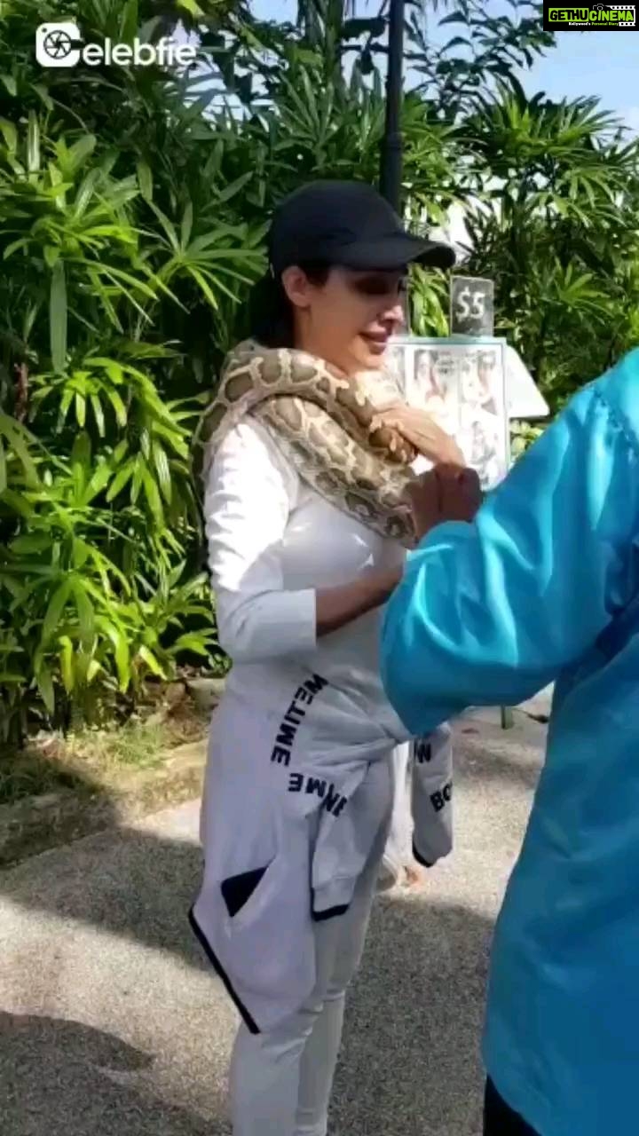 Flora Saini - 8.8K Likes - The bravest thing I ever did 😛 n that's my mom I'm talking to on the side 🤣
#Repost @celebfieapp with @let.repost
• • • • • •
Celebfie queen @florasaini is quite a daredevil! 💪 Here's an exclusive video of her where she is seen facing her fears by letting a HUGE snake coil around her neck. 🐍😲 Check out this video NOW!
Subscribe to Flora's Celebfie channel to view more such UNSEEN videos of her. Link in bio!
#Celebfieapp #florasaini #actress #adventure #snake #reelitfeelit #reels #fearless #facefears #motivation #monday #reelsinstagram #mondaymotivation #trending