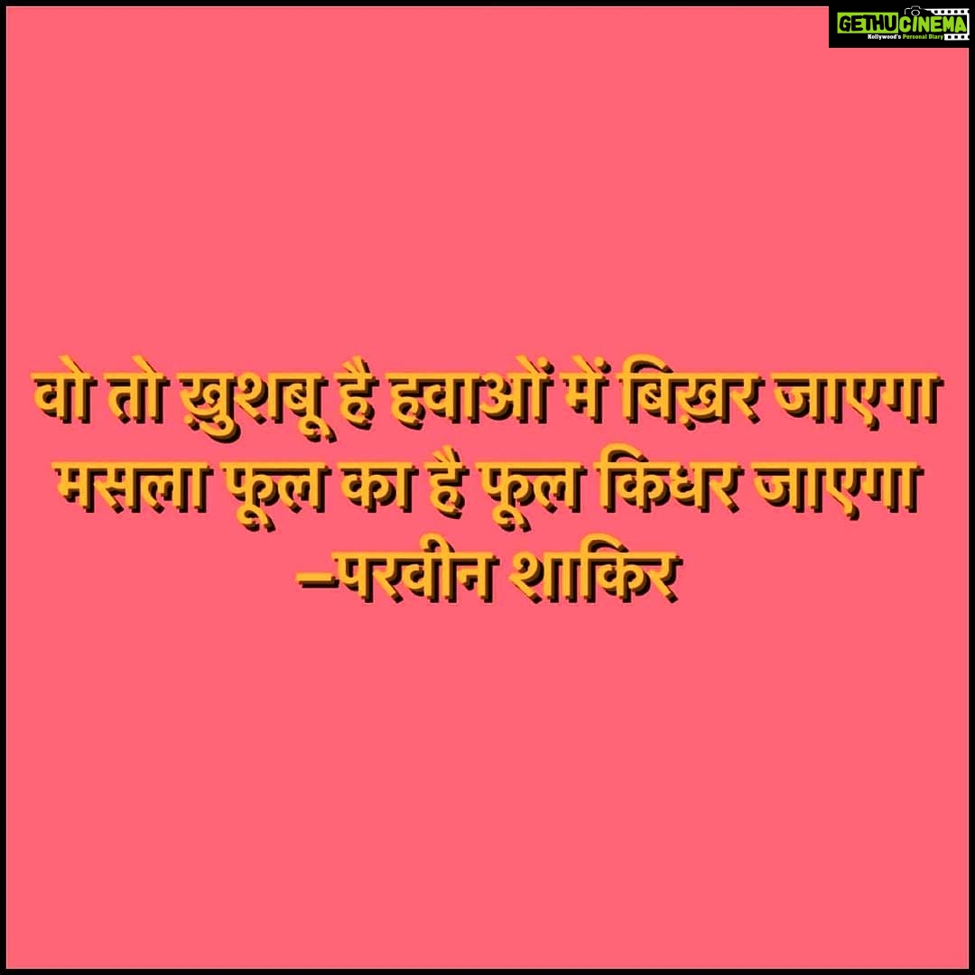 Flora Saini Instagram - He is fragrance that will scatter in the winds. The trouble lies with the flower - where shall the flower go? 🥀 Translation by @daakvaak Reposted from @suhailnayyar