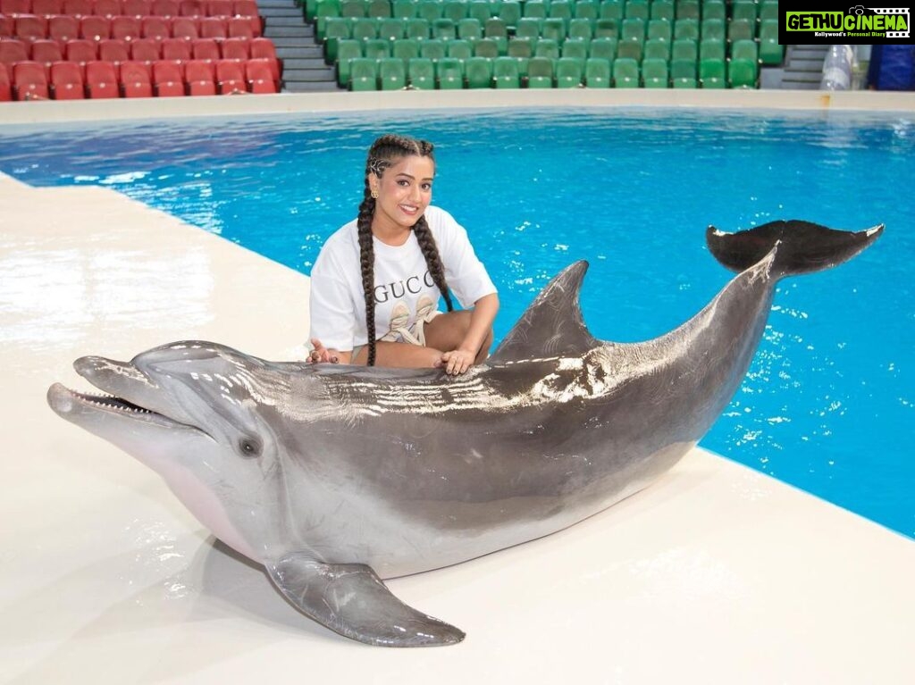 Garima Chaurasia Instagram - Aww she’s so cute🐬😍 Just look at the smile 🫶🏻 . Dolphin & Seal show in Dubai (First and Only in UAE 🇦🇪) 🔸 VIP Tickets - 30% off* - Use Promo code: GIMA30 for shows (March 23 to April 19, 2023) Online booking via www.dubaidolphinarium.ae Location: Creek Park Gate 1, Dubai Other attractions: Bird Show, Mirror Maze, 5D Cinema #lovedubaidolphinarium *T&Cs apply, not valid to use with other promotions #gimaashi #dubai #dolphinarium #dolphins #seal #watershow #visitDubai #travel #explore #gimaians Dubai Dolphinarium - Creek Park