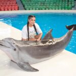 Garima Chaurasia Instagram - Aww she’s so cute🐬😍 Just look at the smile 🫶🏻 . Dolphin & Seal show in Dubai (First and Only in UAE 🇦🇪) 🔸 VIP Tickets - 30% off* - Use Promo code: GIMA30 for shows (March 23 to April 19, 2023) Online booking via www.dubaidolphinarium.ae Location: Creek Park Gate 1, Dubai Other attractions: Bird Show, Mirror Maze, 5D Cinema #lovedubaidolphinarium *T&Cs apply, not valid to use with other promotions #gimaashi #dubai #dolphinarium #dolphins #seal #watershow #visitDubai #travel #explore #gimaians Dubai Dolphinarium - Creek Park