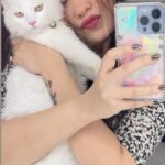 Geet Gambhir Instagram – You make me feel Amazing when I m next to you 🐱 
#bella 
.
.
.
.
.
.
.
#pet #cat #persiancat #fav #love
