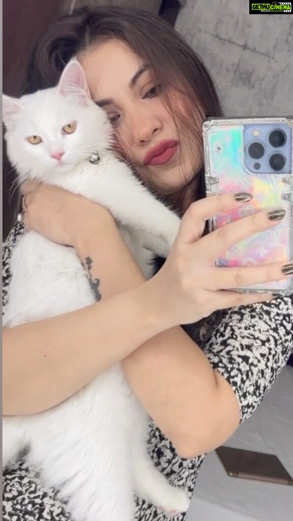 Geet Gambhir Instagram - You make me feel Amazing when I m next to you 🐱 #bella . . . . . . . #pet #cat #persiancat #fav #love