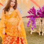 Geet Gambhir Instagram – ਸ਼ਾਯਦ ਓਹਨੂੰ ਵੀ ਪਿਆਰ ਵਾਲ਼ੀ ਮਹਿਕ ਜੇਹੀ ਆਵੇ,
ਅਸੀਂ ਫੁੱਲਾਂ ਉੱਤੇ ਤਿਤਲੀ ਬਿਠਾਈ ਜਾਣ ਕੇ 
.
.
.
.
.
.
.
.
.
.
.
.
.
#indianlook #indian #lehanga #yellow #sunshine #makeup #geetgambhir #shivoham #fashion #lifestyle #gratitude