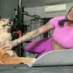 Gurbani Judge Instagram - Excerpts of a wonderful Sunday at the LLB 🌸☀️🎄❄️ Swipe to see Handsome being cute 🐕 >> some squatzz and a surprise at the end 😂 5 days to the new year. Crazy. #steadyat64kgs #MerryGainsmas #ThankYouLife