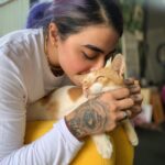 Gurbani Judge Instagram - Charlie boy 🐾 🐈 #smellslikeLovetoMe #lol #catsoftheLLB #CharlieBoy #lovealltheanimals #HumanCatChair #goodCalfworkout #liftLife #allthepurring