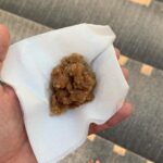 Gurbani Judge Instagram - Part II of 3 of what I did on my birthday :) Met an old friend (the best kinds), stopped and just watched the wind make the bougainvillea flowers dance a bit, spotted a spotted owl 🦉in the daytime! And ofcourse it was GurPurab so I went to my favourite gurdwara and had the yummiest kada parshad #gainswheninPunjab #blessedGains I also ate Churri with Nani after lunch,oh mannn the childhood memories ♥️☺️ Chandigarh - The City Beautiful