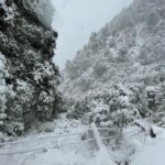 Himanshi Khurana Instagram - ❄️☃️ himanshi : part of snow