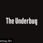 Hussain Dalal Instagram – A horror film about the horrors of life. @theunderbug_film 
・・・
Creep, crawl, die! The Underbug. Trailer out now.
.
.
.
.
.
.
.
.
.
.
.
.
.
.
.

#slamdance #theunderbug #cinematography #cinema #films #alifazal #sonyvenice #indiefilm #moviemagic #filmfestivals #filmmaker #film #explorepage #explore #trailer #filmtrailer #horrormovies #horror #genre #parkcity #utah 
#hindifilm @alifazal9 @abbasdalal @shujaatsaudagar @theunderbug_film @slamogram @nonamunious @pushingbuttonsstudios @vikeshbhutani @adhdstudiosindia