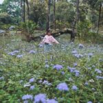 Ishaani Krishna Instagram - 🤍 PC : @arjunnair05 & @_.xo.nidhi._ Munnar