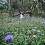 Ishaani Krishna Instagram - 🤍 PC : @arjunnair05 & @_.xo.nidhi._ Munnar
