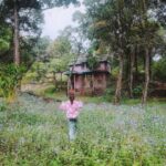 Ishaani Krishna Instagram - 🤍 PC : @arjunnair05 & @_.xo.nidhi._ Munnar