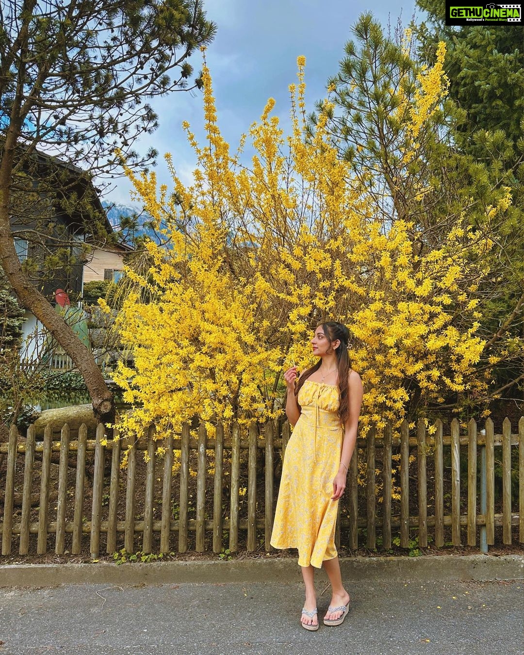 Ishaani Krishna Instagram - 🐥 Interlaken, Swizerland