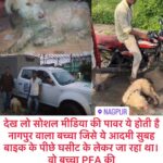 Jasleen Matharu Instagram - RESCUED 😀😀🙏🏻🙏🏻 Thankyou @annmoll_bharti_baid ji @pfa.official @manekagandhibjp @voice_for_voiceless1313 @mansha_bahl @noorverma_ @nitesh_khare Aur sabhi ka jo is baby ko liye concerned the.. He is safe with @pfa.official now 🙏🏻