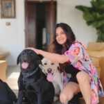 Jasleen Royal Instagram - Last 24 hours with this super host! 🙃 @vizdumb