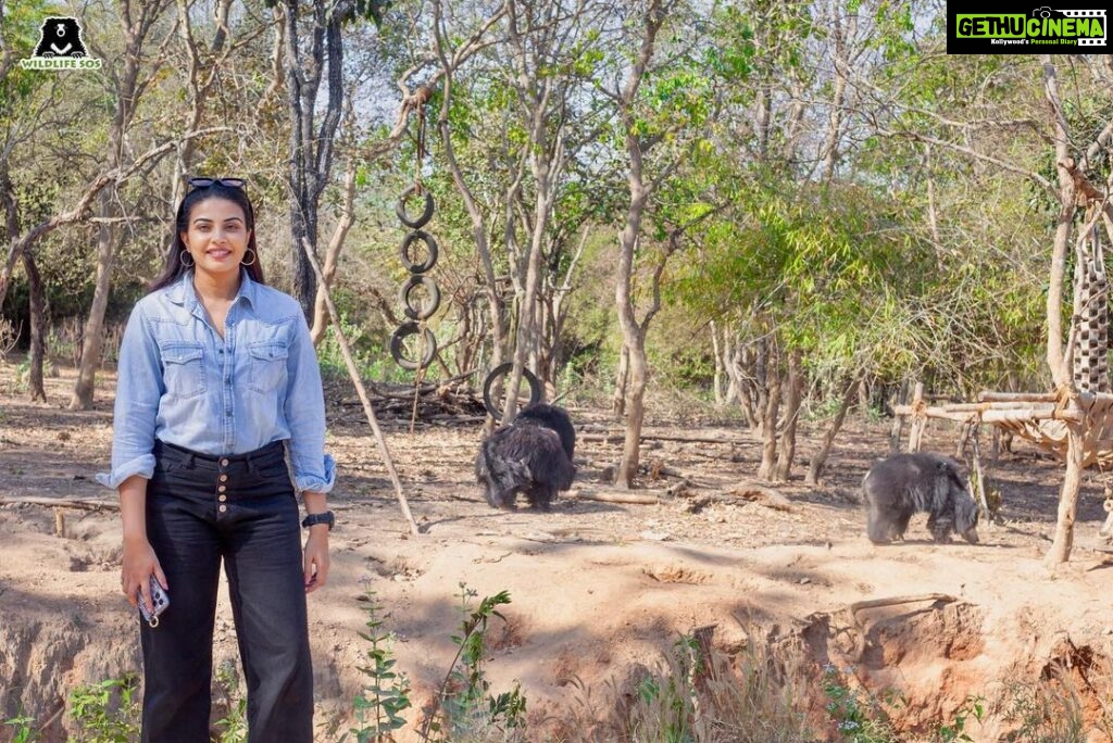 Kavya Shetty Instagram - A day well spent at the Bannerghatta Bear Rescue Centre at Bengaluru. Thank You @wildlifesos for inviting me ♥ 🐻 You can reach out to @wildlifesos for visiting , volunteering or contributing for the cause . #banerghattabearrescuecentre #wildlifesos #saveanimals #bengaluru Bannerghatta Biological Zoo