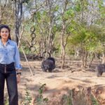 Kavya Shetty Instagram – A day well spent at the Bannerghatta Bear Rescue Centre at Bengaluru.
Thank You @wildlifesos for inviting me ♥️ 🐻 

You can reach out to @wildlifesos for visiting , volunteering or contributing for the cause .

#banerghattabearrescuecentre #wildlifesos #saveanimals #bengaluru Bannerghatta Biological Zoo