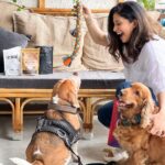 Kishwer Merchant Instagram - Shopping for @batuknathrai and @pablosexxobarr fave treats from @doggiedabbas , @dogseechew , @caninecraving and playing with them tugs from @forthelove_of_dog is as easy (and tempting) as giving them belly rubs. 🥰 Whether it’s pet food or grooming, Minis on Swiggy houses so many more brands in the miniverse that it’s a wonder I’ve been able to get any work done this week. Someone stop me from buying 7 types of treats for them please! 🐶❤️ Go explore the super fun miniverse for your pets, buy directly from independent brands, track your orders seamlessly and pay securely, in one place at @minisonswiggy . #entertheminiverse