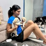 Kriti verma Instagram - In the midst of my shoot..these beautiful creatures came to visit me..❤️❤️❤️❤️ . . . . . . . #shootdiaries #flipkart #live #actor #actorslife #puppiesofinstagram #lebrador #labrador #husky #dogs #doglover #puma #shorts #tshirt #jaimatadi