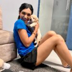 Kriti verma Instagram - In the midst of my shoot..these beautiful creatures came to visit me..❤️❤️❤️❤️ . . . . . . . #shootdiaries #flipkart #live #actor #actorslife #puppiesofinstagram #lebrador #labrador #husky #dogs #doglover #puma #shorts #tshirt #jaimatadi