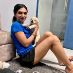 Kriti verma Instagram - In the midst of my shoot..these beautiful creatures came to visit me..❤️❤️❤️❤️ . . . . . . . #shootdiaries #flipkart #live #actor #actorslife #puppiesofinstagram #lebrador #labrador #husky #dogs #doglover #puma #shorts #tshirt #jaimatadi