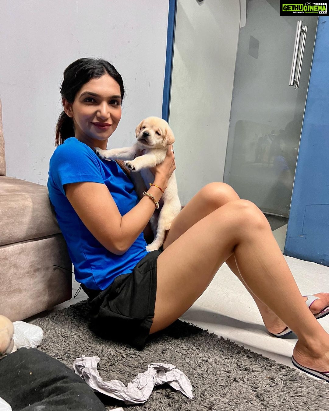 Kriti verma Instagram - In the midst of my shoot..these beautiful creatures came to visit me..❤️❤️❤️❤️ . . . . . . . #shootdiaries #flipkart #live #actor #actorslife #puppiesofinstagram #lebrador #labrador #husky #dogs #doglover #puma #shorts #tshirt #jaimatadi