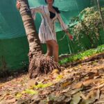 Kriti verma Instagram - Hun dasso? @kritivermaofficial 💕 . . . . . #dialogue #lipsync #actor #kriti #kritiverma #viral #trending #reelsinstagram #reelkarofeelkaro