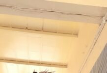 Lopamudra Raut Instagram - Jump back kick ! @raakeshyadhav #lopamudra #kick #lopamudraraut #action