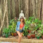 Lopamudra Raut Instagram - May be you are searching among the branches for what only appears in the roots - Rumi #peace #banyantree #travel #lover