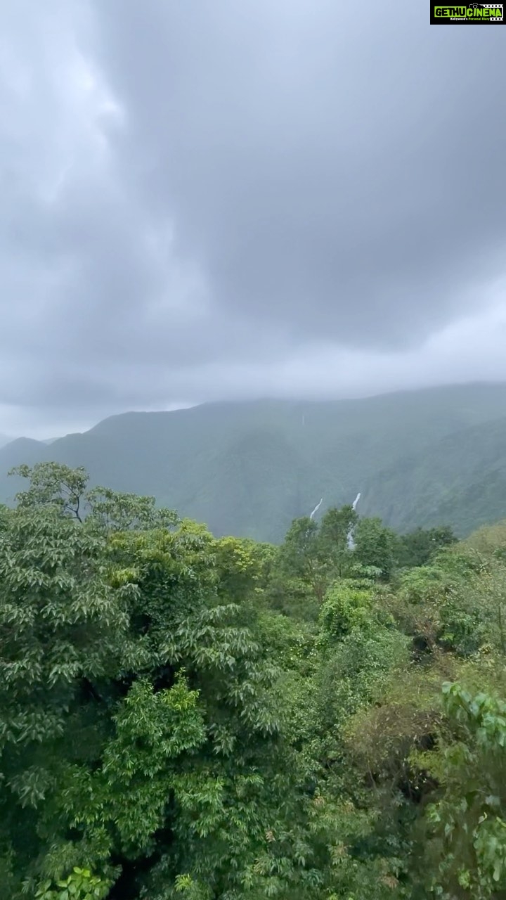 Lopamudra Raut Instagram - How many monkeys did you spot ? Excluding me πππDriving a jeep hits different though π #chorlaghat #wildlife #nature #monsoon #travel #drive #jeep #india