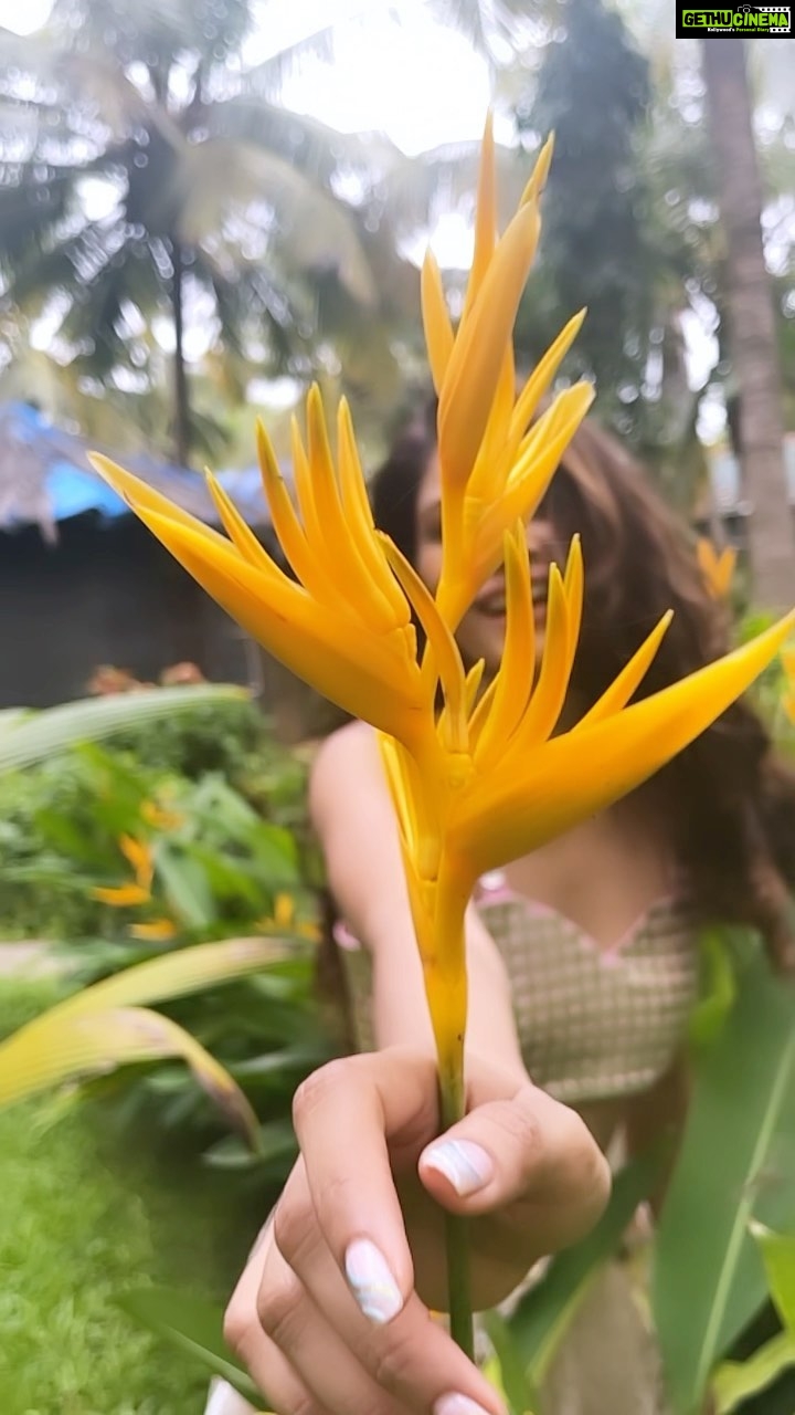 Lopamudra Raut Instagram - This is for you🌷 @geishadesigns @limerickofficial @mahekksutaria @styledbynikinagda #manikemagehithe #reels #travel #goa #video #happy #sunday
