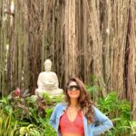 Lopamudra Raut Instagram - May be you are searching among the branches for what only appears in the roots - Rumi #peace #banyantree #travel #lover