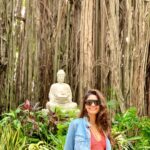 Lopamudra Raut Instagram - May be you are searching among the branches for what only appears in the roots - Rumi #peace #banyantree #travel #lover