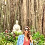 Lopamudra Raut Instagram - May be you are searching among the branches for what only appears in the roots - Rumi #peace #banyantree #travel #lover