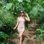 Lopamudra Raut Instagram - If you truly love nature , you will find beauty everywhere - Vincent Van Gogh #nature #solace #greenery #goa #love
