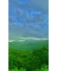 Lopamudra Raut Instagram - Wilderness 🦋 #intothewild #greenery #landscape #nature #beauty