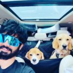 Mahat Raghavendra Instagram – It’s a longgg drive!!!! 
My babies @coco_pluto_m 😘❤️