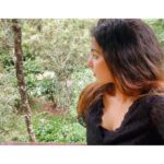 Malavika Menon Instagram - There is no wifi in the forest 🌳 but you will find a better connection 🥰✨ @mapleashresort