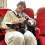 Mandana Karimi Instagram - The picture is a story of country girl with bandana finding cute little furry friends with paws 🐾 . . . . . . . . . . #amsterdam #fashion #photography #beautifuldestination #mandana #mandanakarimi #travelblogger #europe #travelphotography #lifestyleinfluencer #travelinfluencer #lifestyle #luxurylifestyle #bollywoodfashion #dogs #puppies #fashionphotography #destination #traveldiaries #bollywood #bollywoodactress #vacation #doglover Amsterdam, Netherlands
