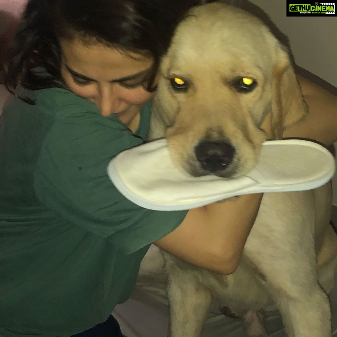 Mandana Karimi Instagram - I miss you 🐶❤️ #throwback #mrelvis Mumbai, Maharashtra