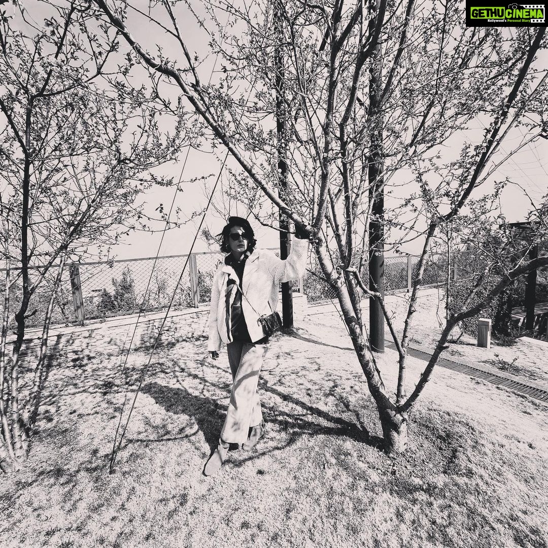 Mandana Karimi Instagram - Keep it simple. Keep it black and white 👁 #nature #blackandwhite JW Marriott Mussoorie Walnut Grove Resort & Spa