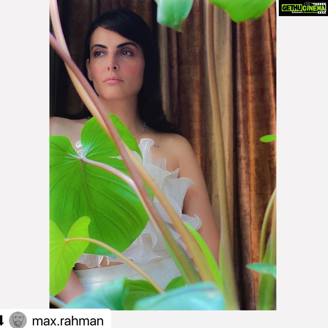Mandana Karimi Instagram - #Repost @max.rahman with @make_repost ・・・ If something burns your soul with purpose and desire, it’s your duty to be reduce to ashes by it. Any other form of existence will be yet another dull book in the library of life. - Charles Bukowski Styled by - @socialfabric_ #Stunner #BeFree #BornFree #LiveALittleMoreToday #lifeisbeautiful मुंबई Mumbai