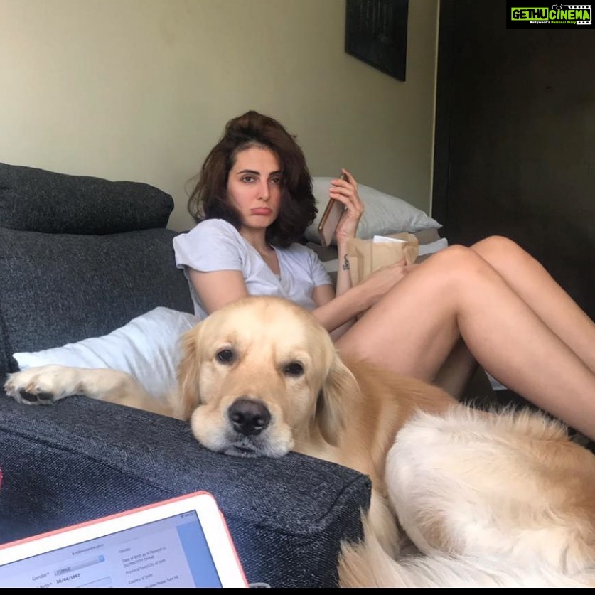 Mandana Karimi Instagram - #quarantine day whatever 🙄 😅 #mymain #puppylove Mumbai, Maharashtra