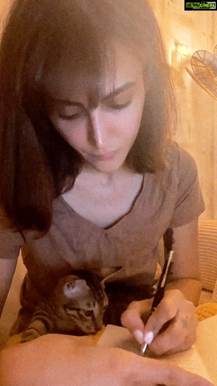 Mandana Karimi Instagram - Amore 🐱 #cat #baby #mrcookie Mumbai - मुंबई