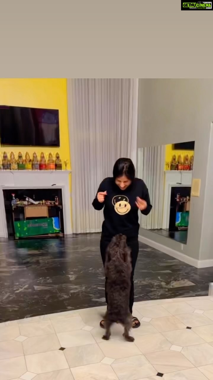 Mangli Instagram - This is called pepsi (dog) ❤️