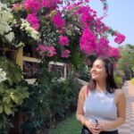 Mansi Srivastava Instagram - Spotted some really Pretty flowers in #goa 🌸 @chingari_in @sundaysquare #chingari #sundaysquare